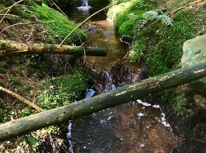 Gipfelnest Апартаменты Браунлаге